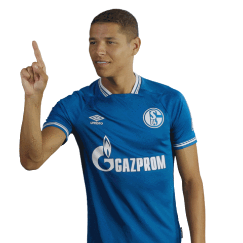Happy Come On Sticker By Fc Schalke 04 For Ios Android Giphy