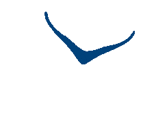 Fly Running Sticker by HOKA Europe