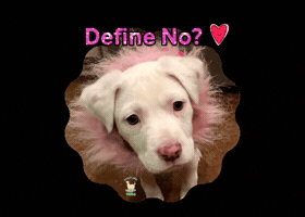 Love GIF