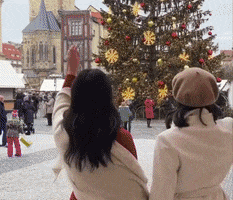 GIF by Pavidas