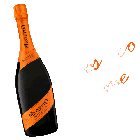 Party Cheers Sticker by mionetto_at