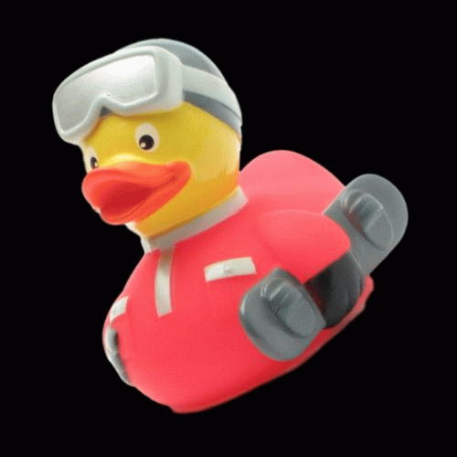 Duckshop GIF