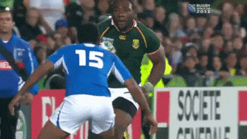 Knocking Over South Africa GIF by Rugby World Cup