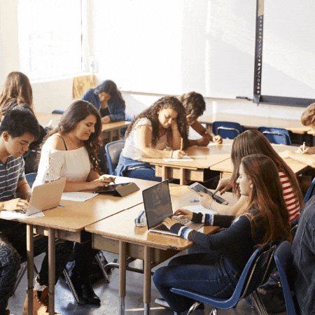 Hzad Education Celpip GIF