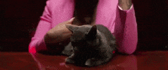 Girls Kissing Girls GIF by Jucee Froot