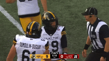 Tiger-Cats Ticats GIF by Hamilton Sports Group