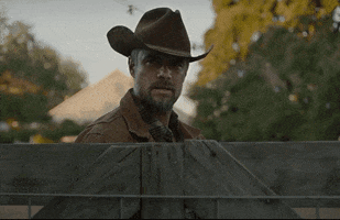 thelosthusband cowboy ranch the lost husband thelosthusband GIF