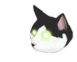 Cats 고양이 Sticker