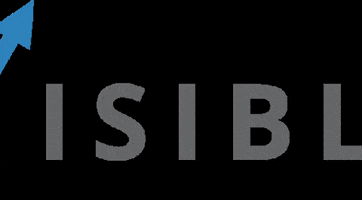 visibleonline.it GIF