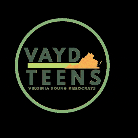 VAYD_Teens vaydteens logo GIF