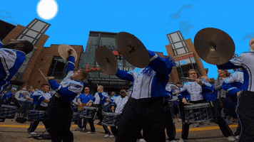 Memphis Tigers GIF by University of Memphis