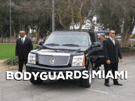 Bodyguards Services GIF