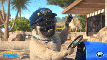 happy pug GIF by Boomerang Official