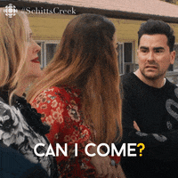 Can I Come Schitts Creek GIF by CBC