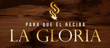 Sell Congreso GIF by CCINT