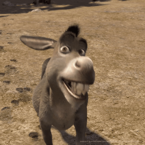 Good Morning Smile GIF by DreamWorks Animation - Find & Share on GIPHY