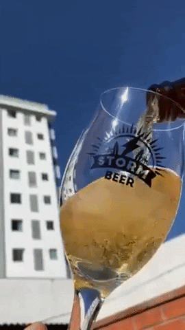 stormbeer drink beer bier cerveja GIF
