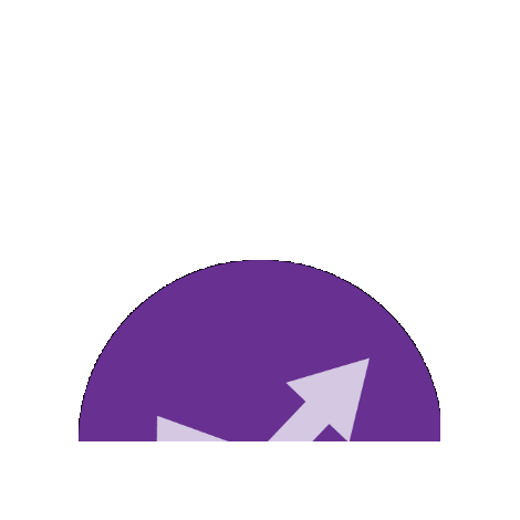 Purple Line Sticker