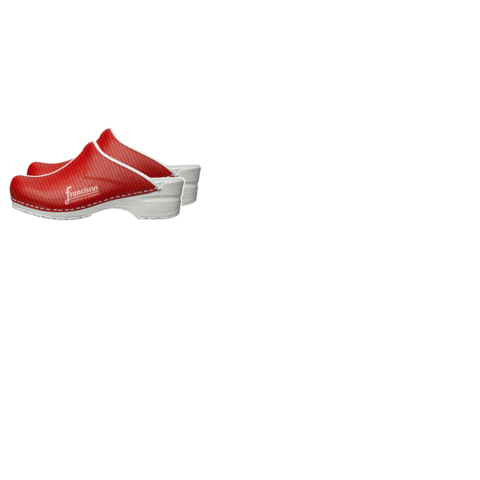 WerkenbijFranciscus Sticker