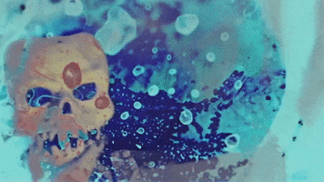 200.gif?cid=fc005b08a4e45daf45406e48face58c7119fb765baf01d3f&rid=200.gif&ct=g