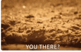 Are You There GIF
