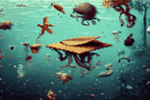 Sea Food GIF