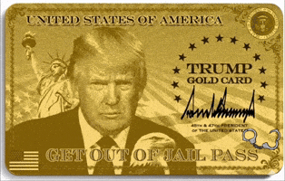 Trump Gold Card GIF
