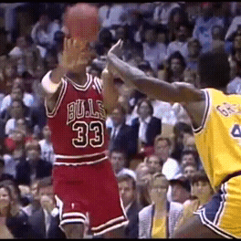 Chicago Bulls Sport GIF by NBA