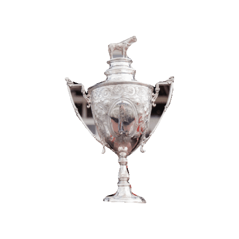 Auckland Racing Club Sticker