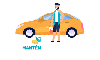 Car Auto Sticker by Diautos Veracruz