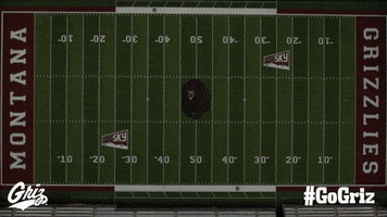Football Stadium GIF by Montana Grizzlies