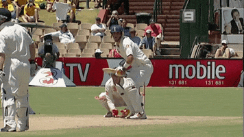 Shane Warne Wicket GIF by cricketcomau
