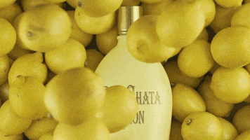Drink Cheers GIF by RumChata