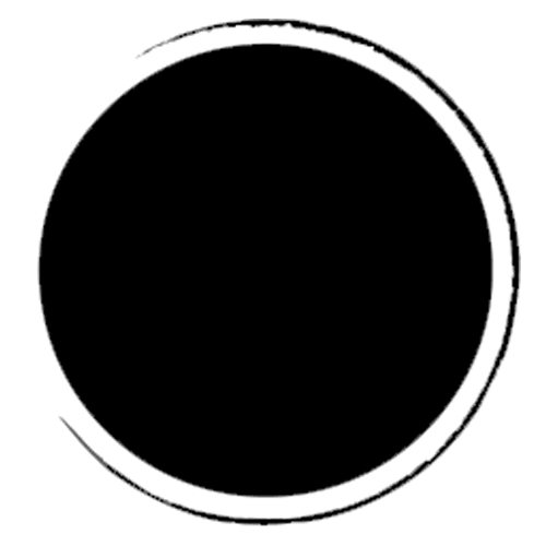 Miami Love Sticker by Divino Ceviche