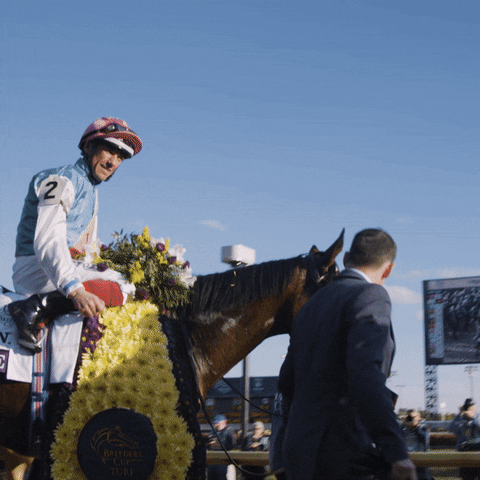 Frankie Dettori Enable Horse GIF by World Horse Racing