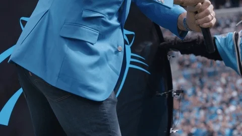 Football Nfl GIF by Carolina Panthers