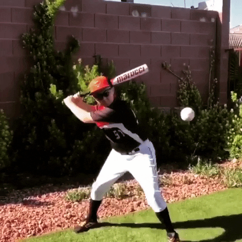 Get Some Lets Go GIF by Rawlings Tigers