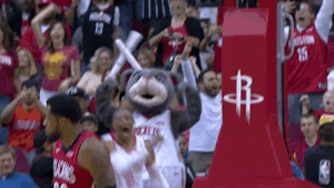 Excited Houston Rockets GIF by NBA