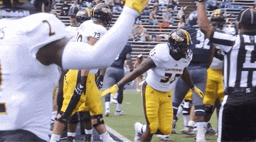 Golden Eagles Football Celebration GIF by Southern Miss Athletics