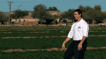 Yes GIF