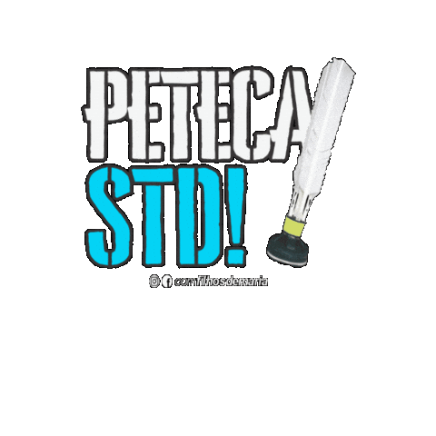Std Juventude Sticker by comunidadefilhosdemaria