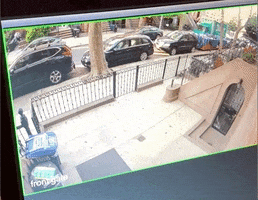 Hit And Run Accident GIF by simongibson2000