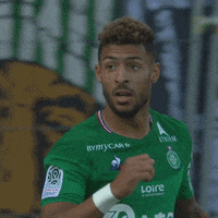 Ligue 1 What GIF by AS Saint-Étienne