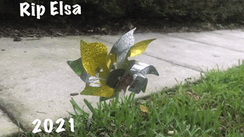 Storm Hurricane GIF by Bartini Orlando