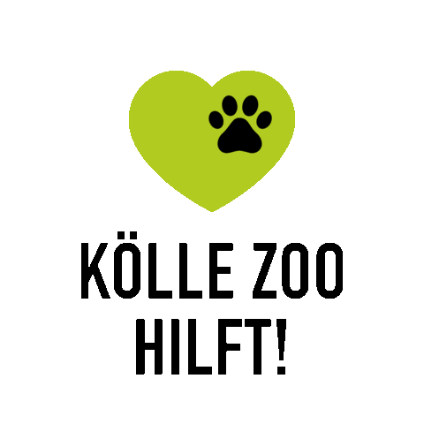 Kölle Zoo Sticker