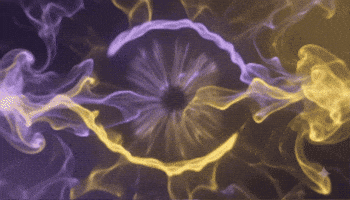 Rntx GIF