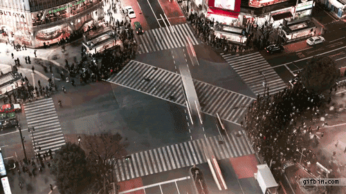 Tokyo Crossing GIF - Find & Share on GIPHY