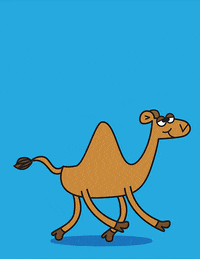 Happy-camel GIFs - Get the best GIF on GIPHY