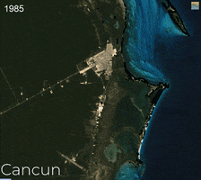 burdgis mexico development cancun yucatan GIF
