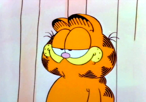 Giphy - Happy Garfield And Friends GIF by Maudit